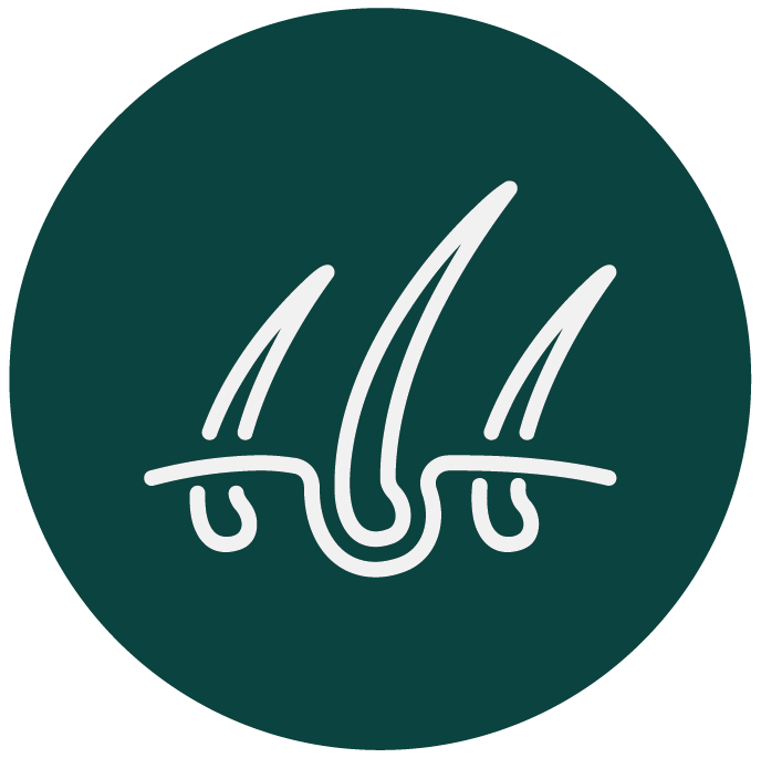 Capilar