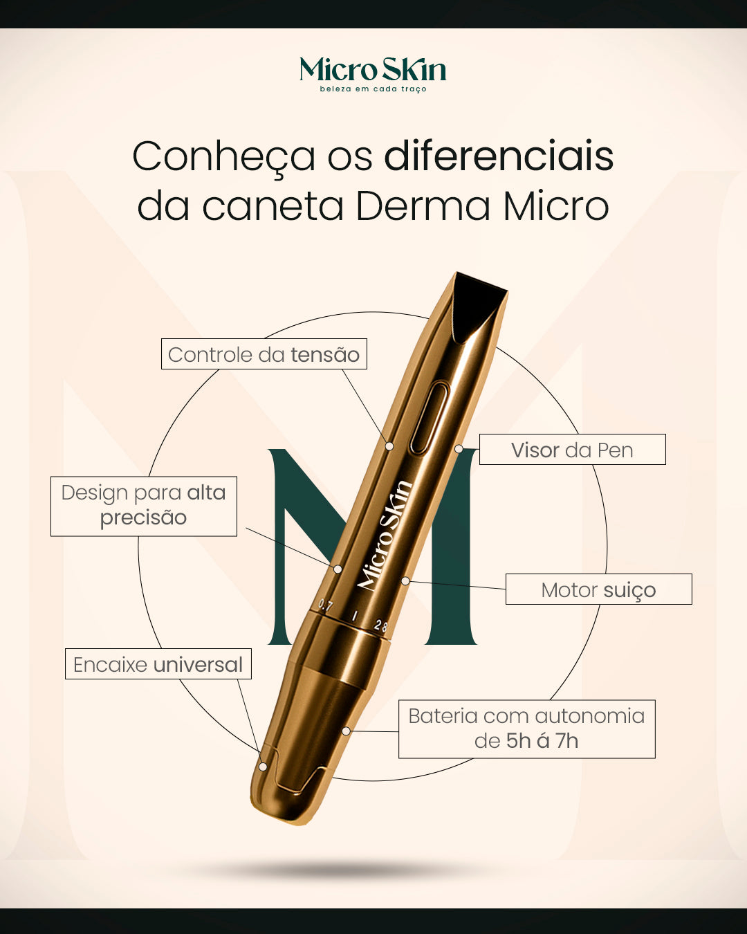 PEN DERMA MICRO